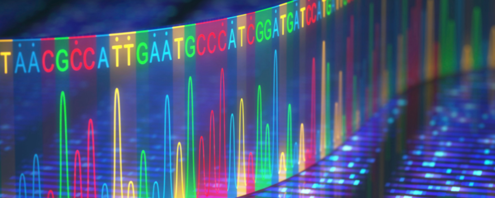 Bioinformatics tutorials and computational genomics workflow visual summary